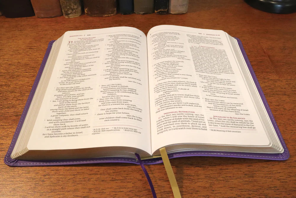 NRSVue, Holy Bible, Personal Size, Comfort Print - Image 5