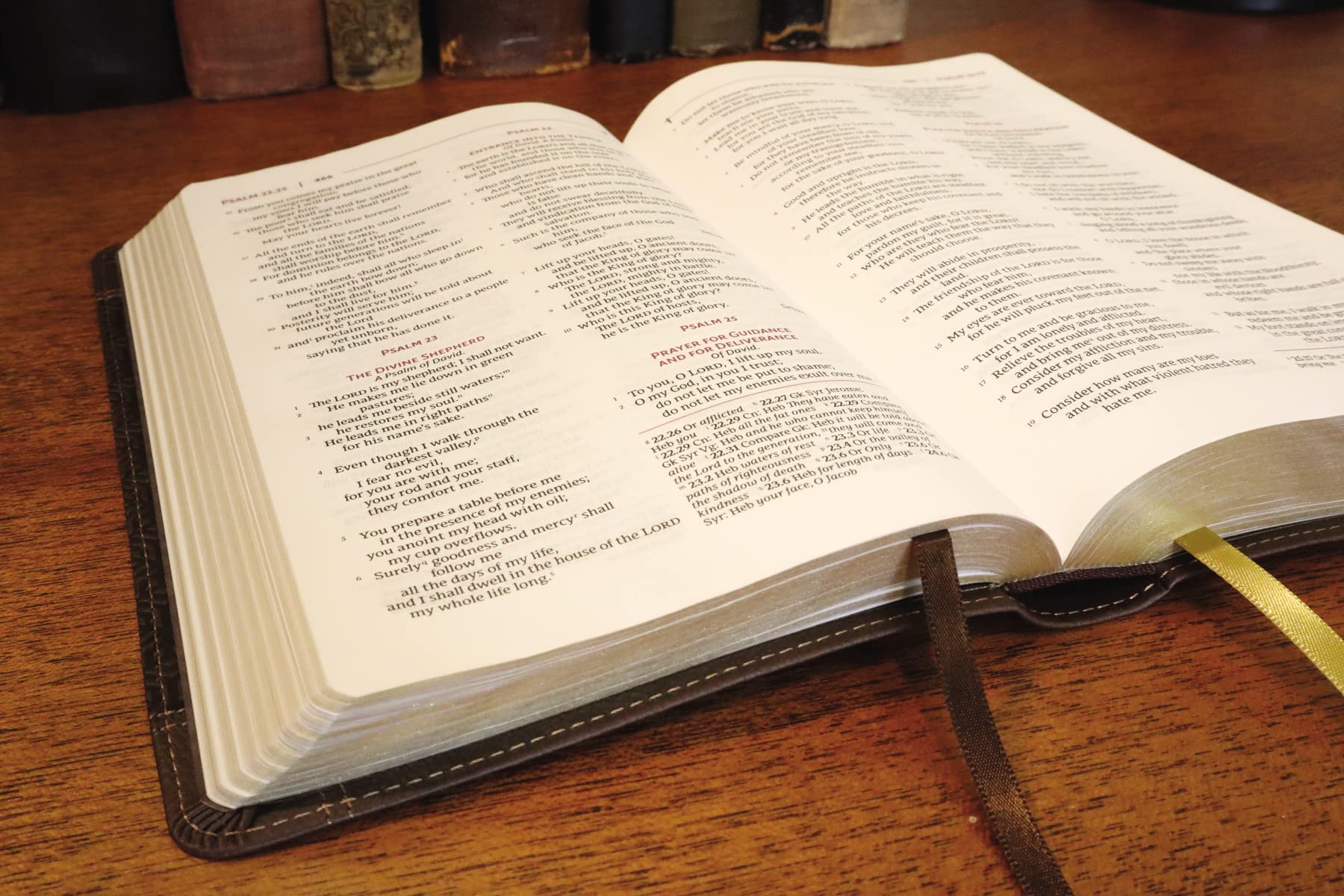 NRSVue, Holy Bible with Apocrypha, Personal Size, Leathersoft, Brown, Comfort Print - Image 2