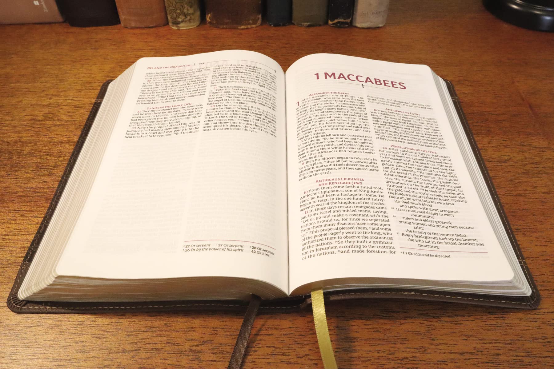 NRSVue, Holy Bible with Apocrypha, Personal Size, Leathersoft, Brown, Comfort Print - Image 3