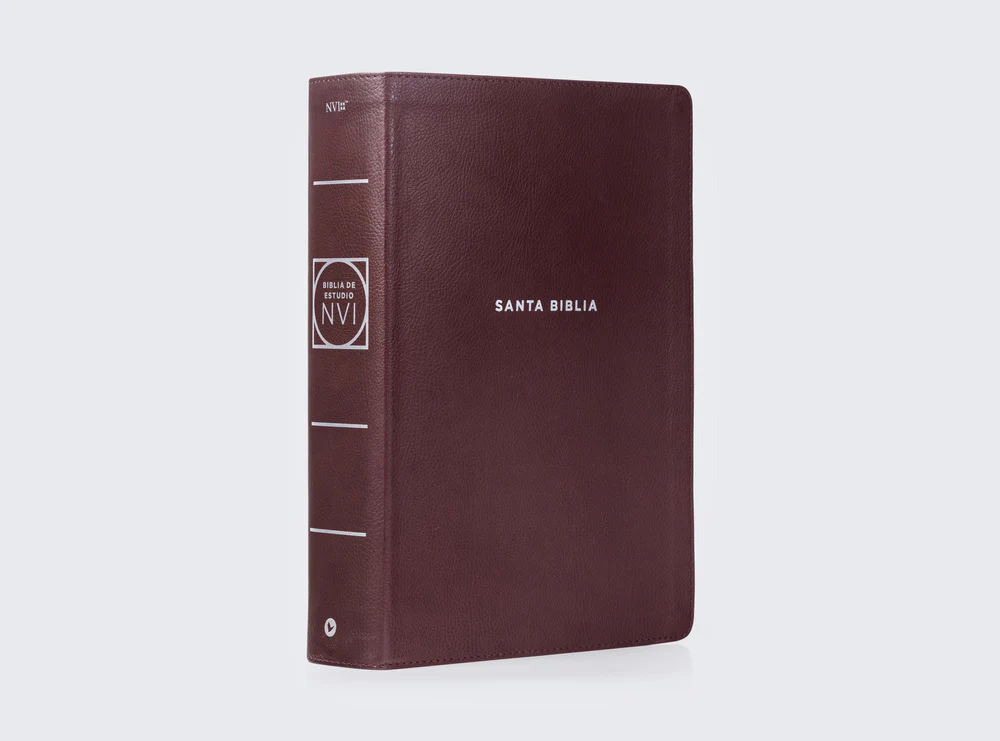 NVI, Biblia de Estudio actualizada, Revisión 2022, Letra grande, Tapa Dura, Interior a color, Palabras de Jesús en Rojo, Comfort Print - Image 51