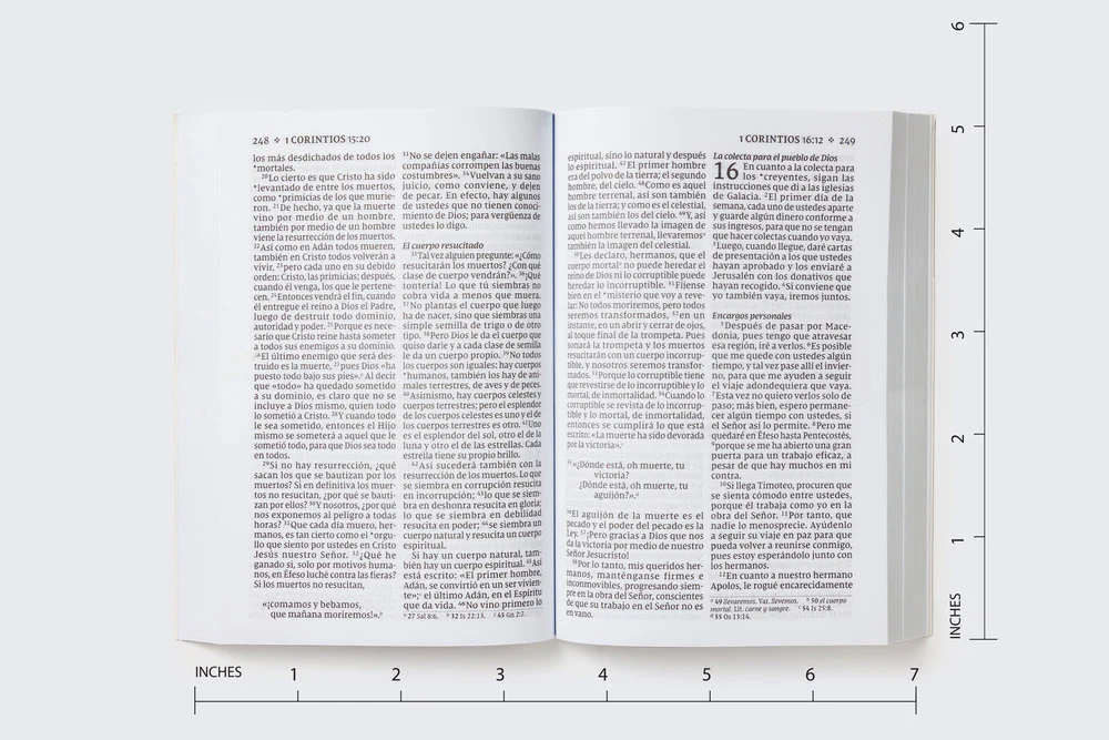 NVI, Nuevo Testamento de bolsillo, con Salmos y Proverbios, Revisión 2022 - Image 50