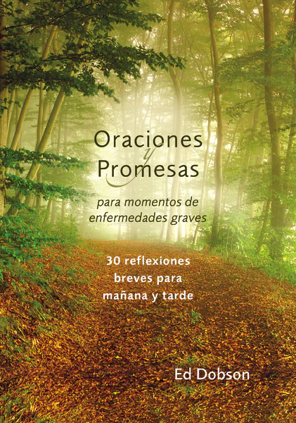 Oraciones y promesas: Para momentos de enfermedades graves - Image 2
