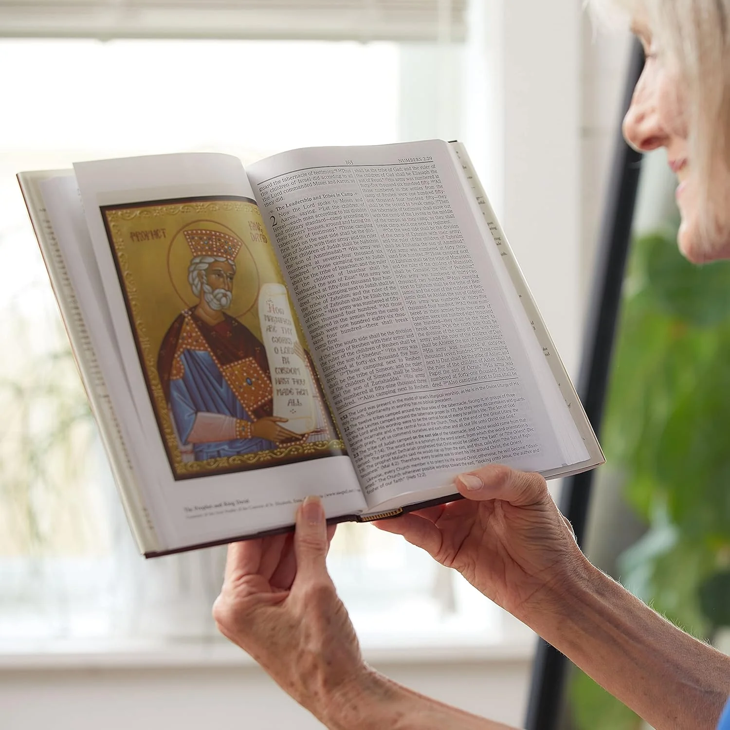 Orthodox Study Bible: Ancient Christianity Speaks to Today's World - Image 5