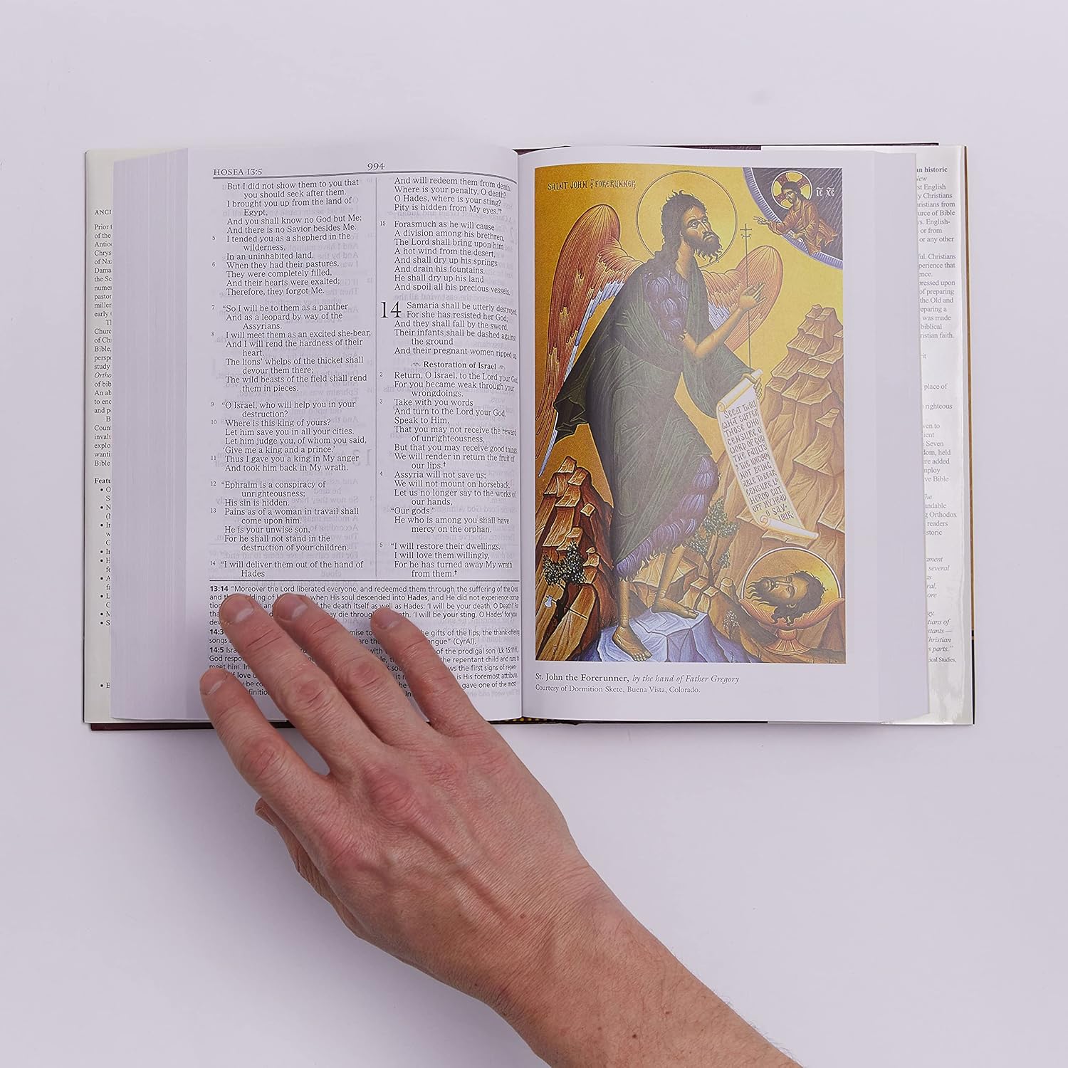Orthodox Study Bible: Ancient Christianity Speaks to Today's World - Image 6