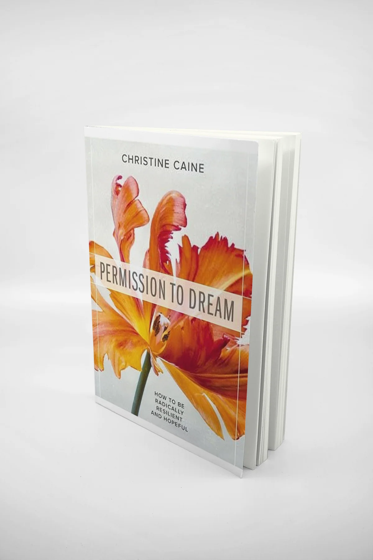 Permission to Dream: How to be Radically Resilient and Hopeful - Image 3