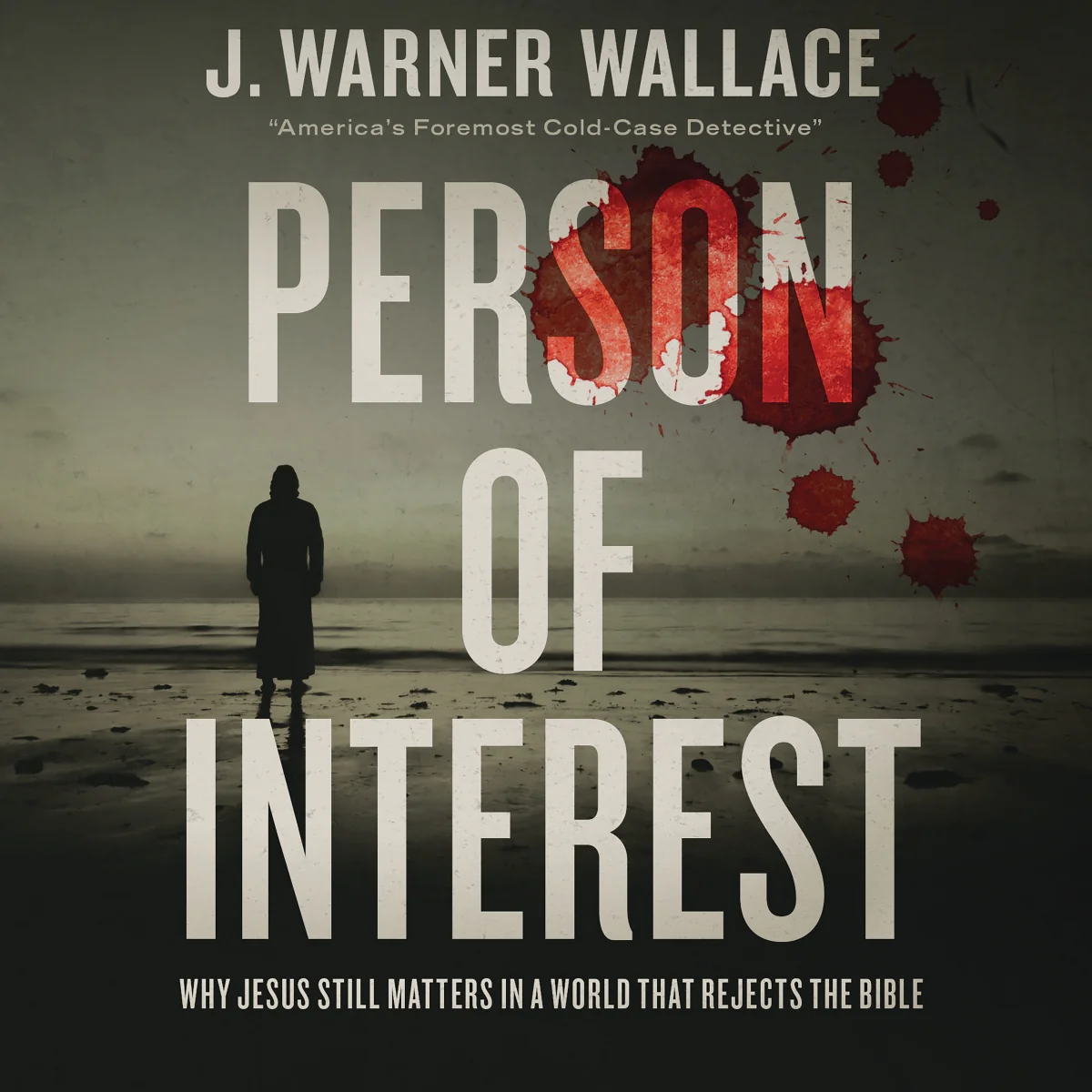 Person of Interest: Why Jesus Still Matters in a World that Rejects the Bible - Audiobook (Unabridged)