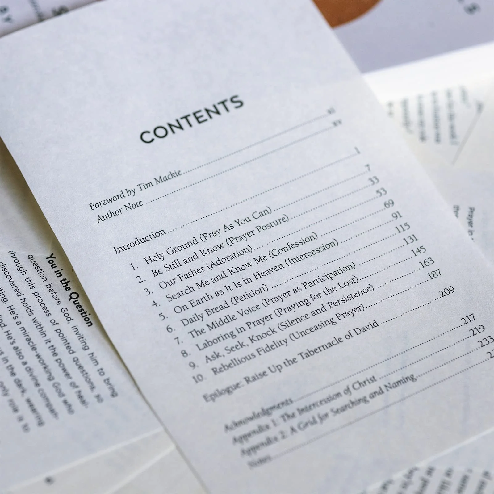Praying Like Monks, Living Like Fools: An Invitation to the Wonder and Mystery of Prayer - Image 4
