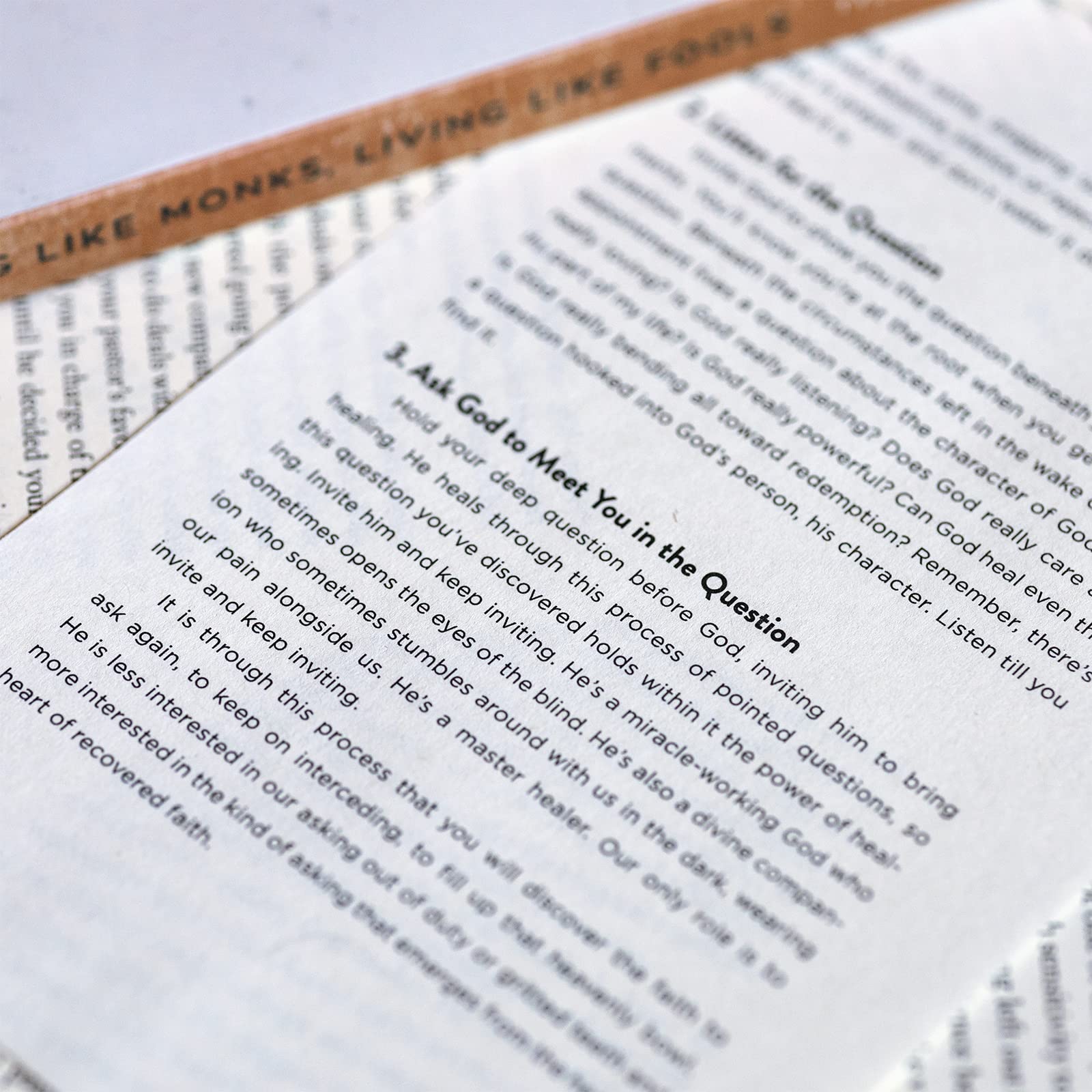 Praying Like Monks, Living Like Fools: An Invitation to the Wonder and Mystery of Prayer - Image 7