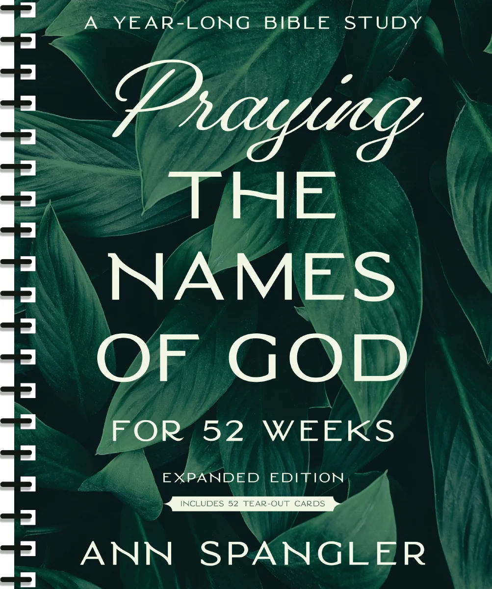 Praying the Names of God for 52 Weeks with Bonus Tear-Out Cards: A Year-Long Bible Study