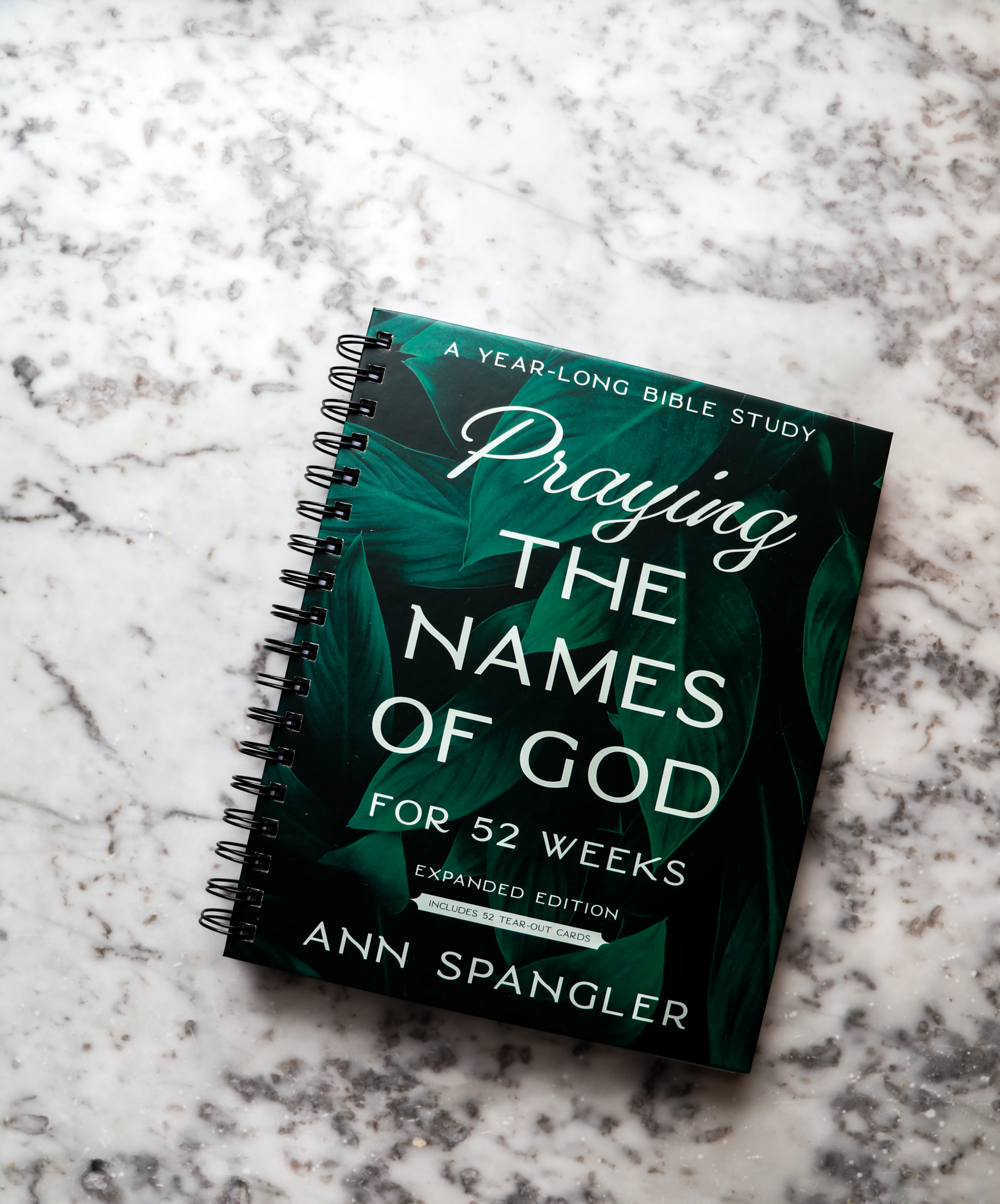 Praying the Names of God for 52 Weeks with Bonus Tear-Out Cards: A Year-Long Bible Study - Image 10