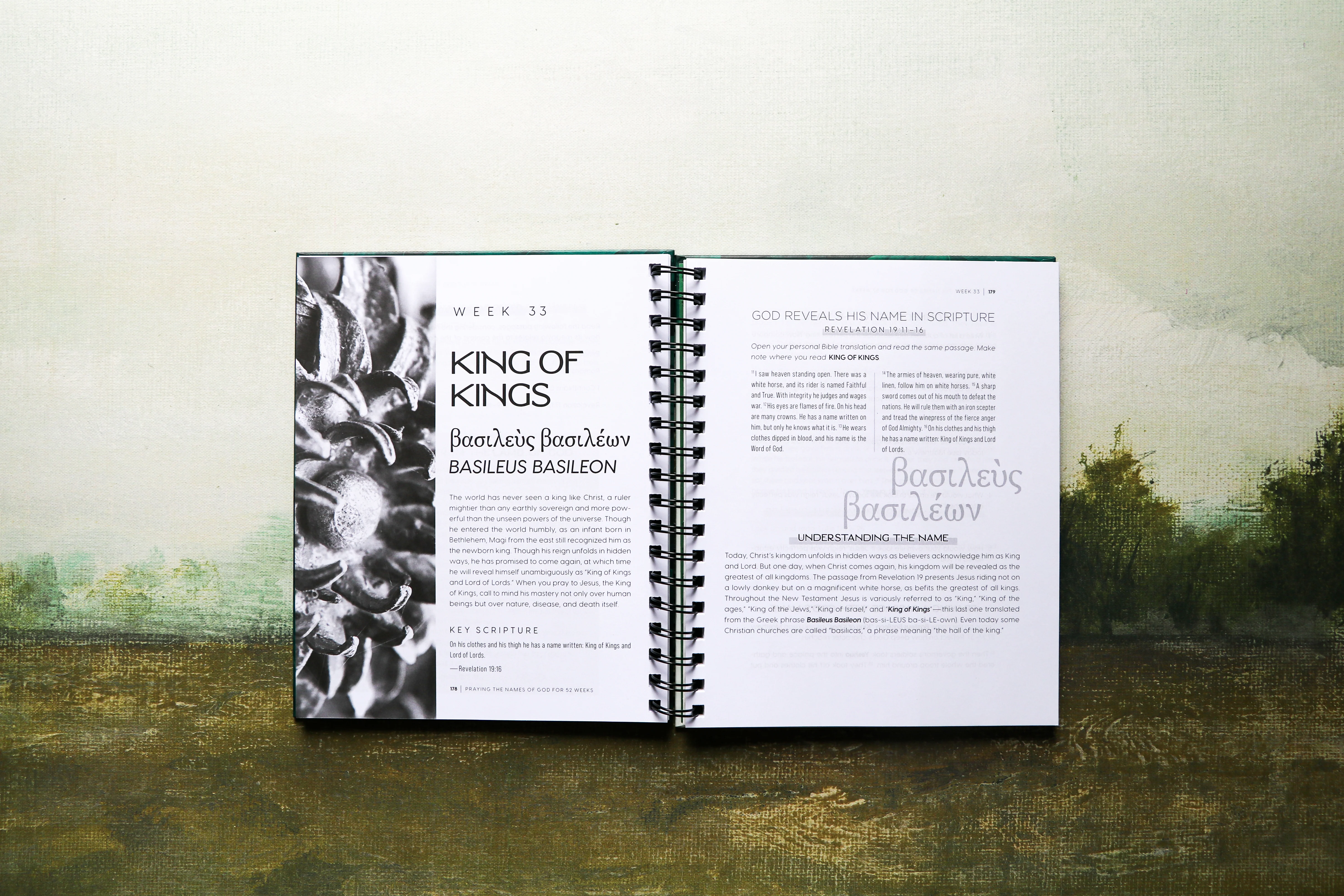 Praying the Names of God for 52 Weeks with Bonus Tear-Out Cards: A Year-Long Bible Study - Image 11