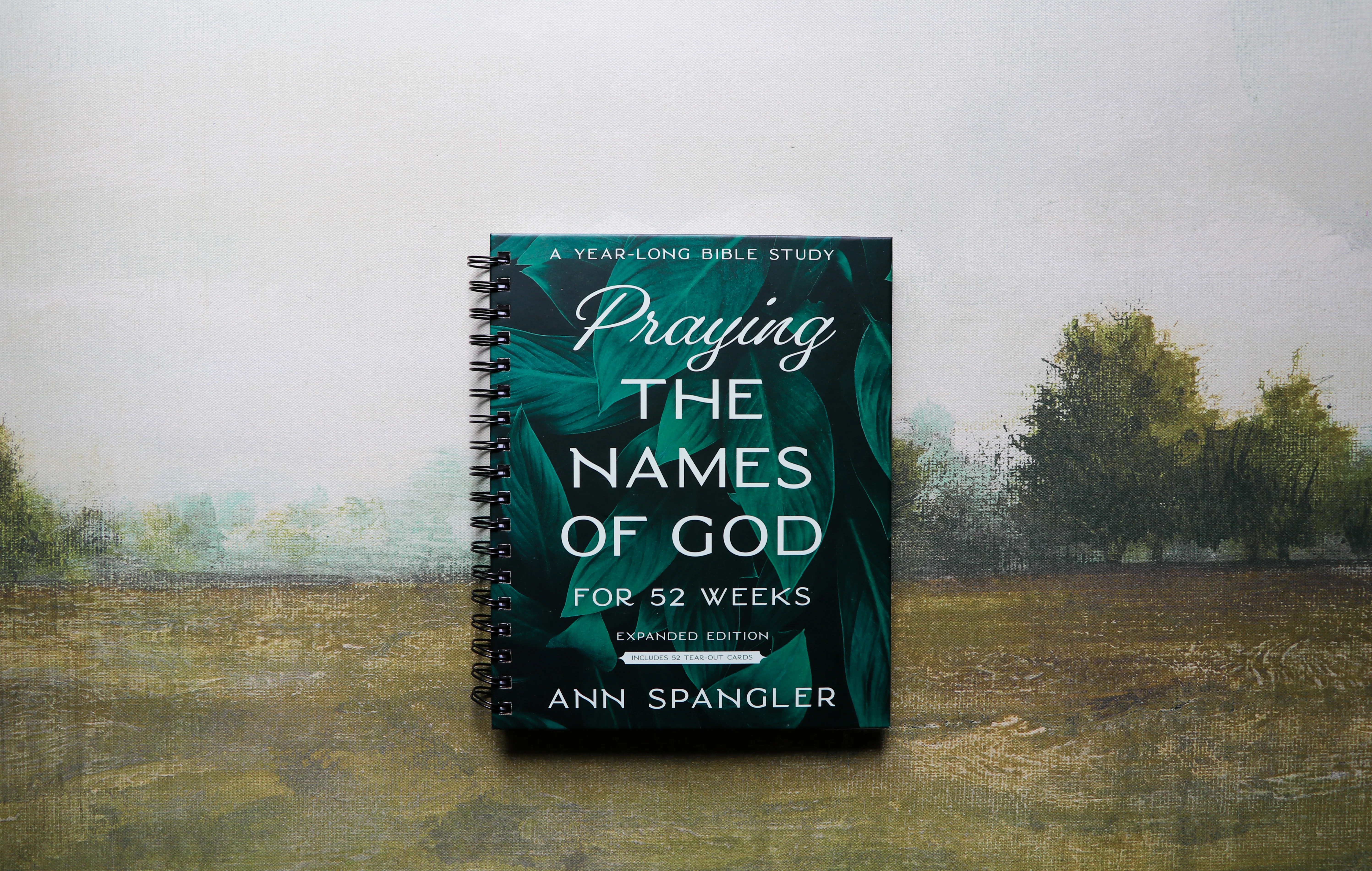 Praying the Names of God for 52 Weeks with Bonus Tear-Out Cards: A Year-Long Bible Study - Image 19
