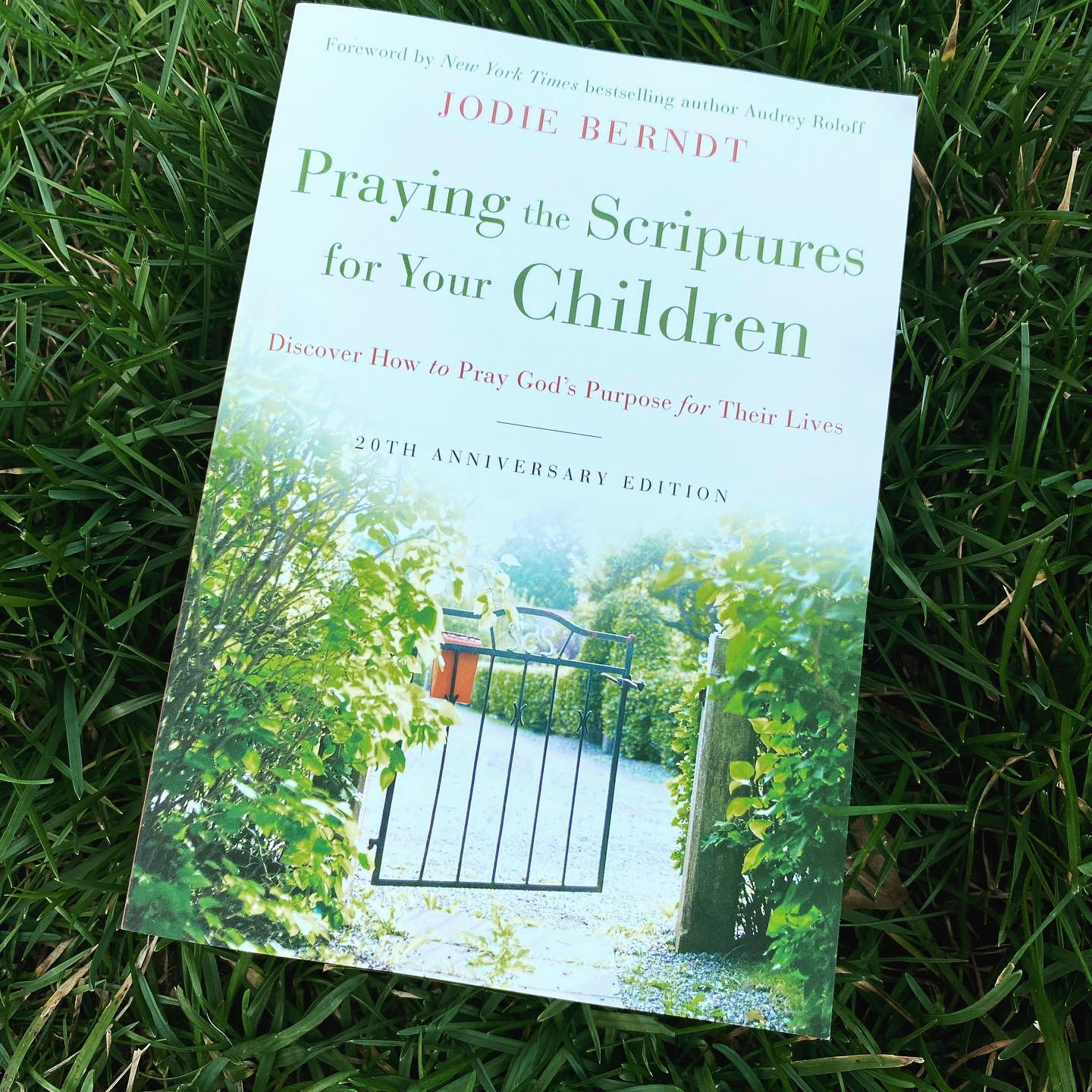 Praying the Scriptures for Your Children 20th Anniversary Edition: Discover How to Pray God's Purpose for Their Lives