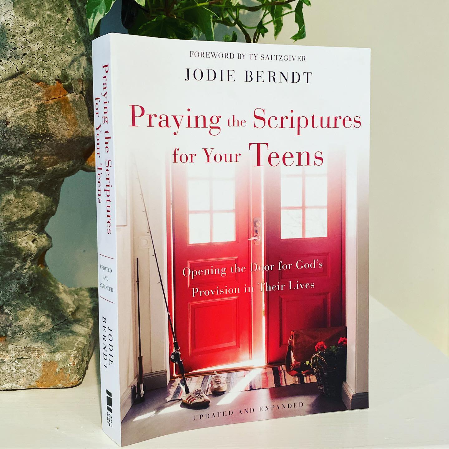 Praying the Scriptures for Your Teens: Opening the Door for God's Provision in Their Lives - Image 2