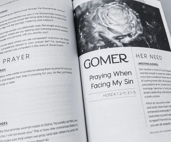 Praying with Women of the Bible for 30 Days: A Bible Study Guide - Image 9