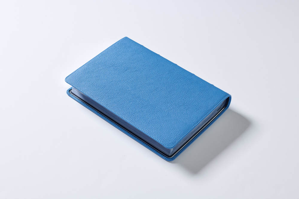Reina Valera 1960 Biblia Letra Gigante, Colección Premier, Interior a dos colores: Edición Limitada - Image 13