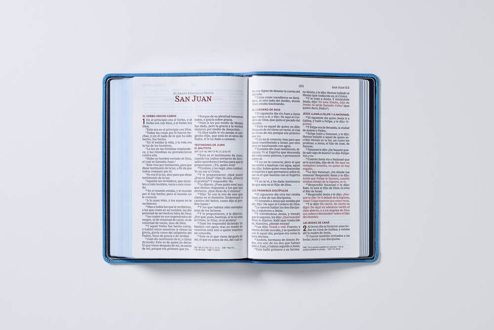 Reina Valera 1960 Biblia Letra Gigante, Colección Premier, Interior a dos colores: Edición Limitada - Image 21