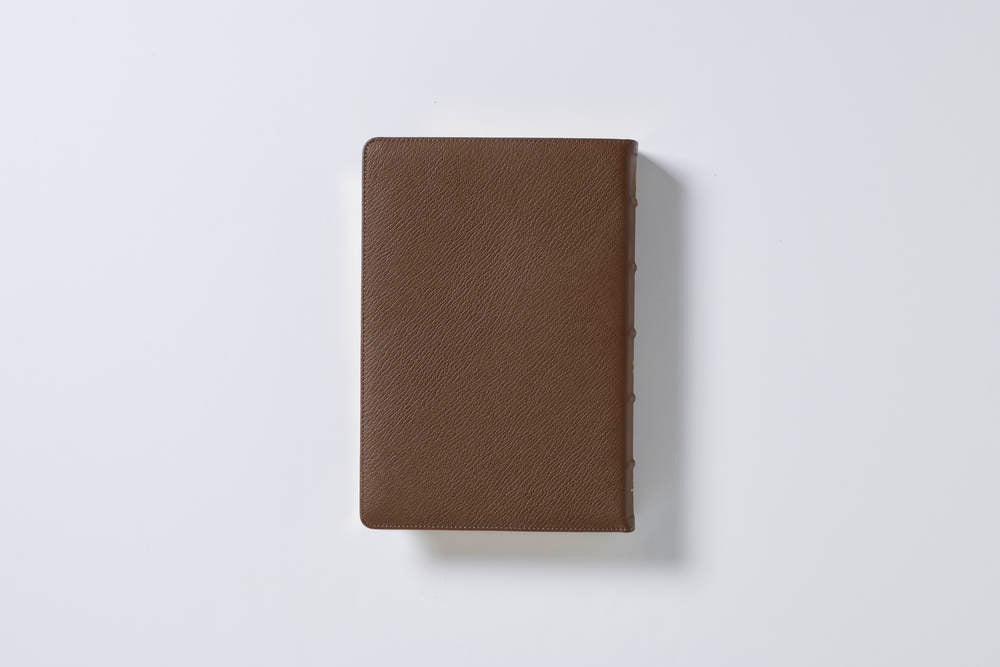 Reina Valera 1960 Biblia Letra Gigante, Colección Premier, Interior a dos colores: Edición Limitada - Image 26