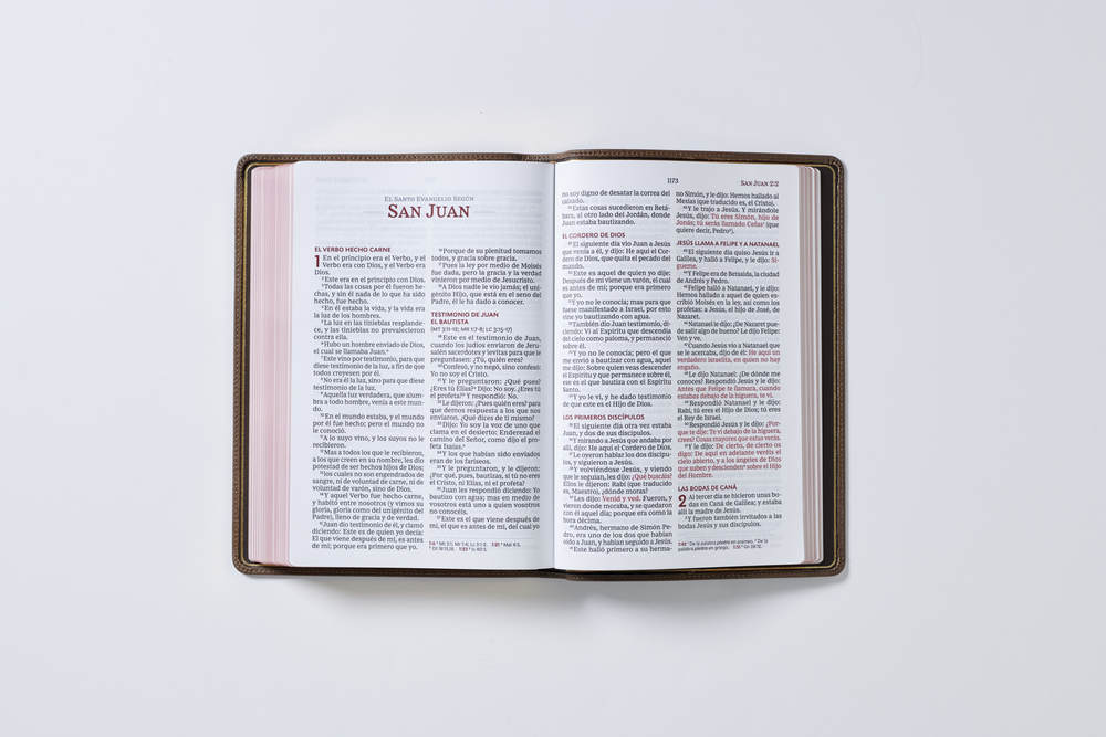 Reina Valera 1960 Biblia Letra Gigante, Colección Premier, Interior a dos colores: Edición Limitada - Image 30