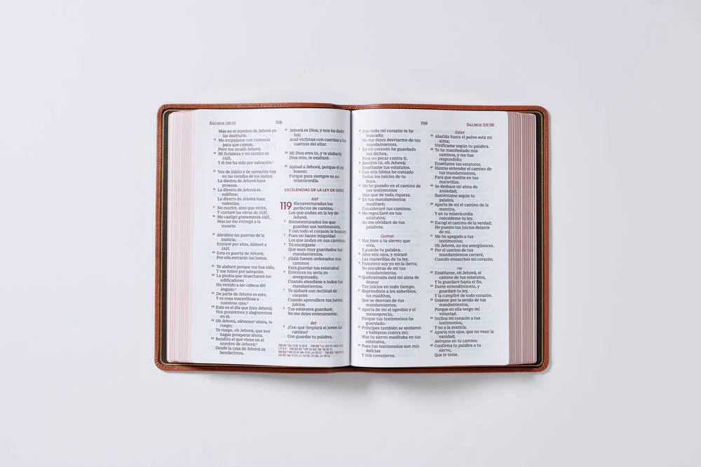 Reina Valera 1960 Biblia Letra Gigante, Colección Premier, Interior a dos colores: Edición Limitada - Image 37