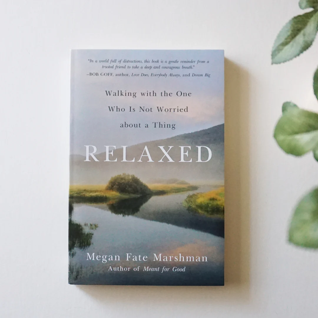 Relaxed Bible Study Guide + Book + Journal Premium Bundle - Image 13