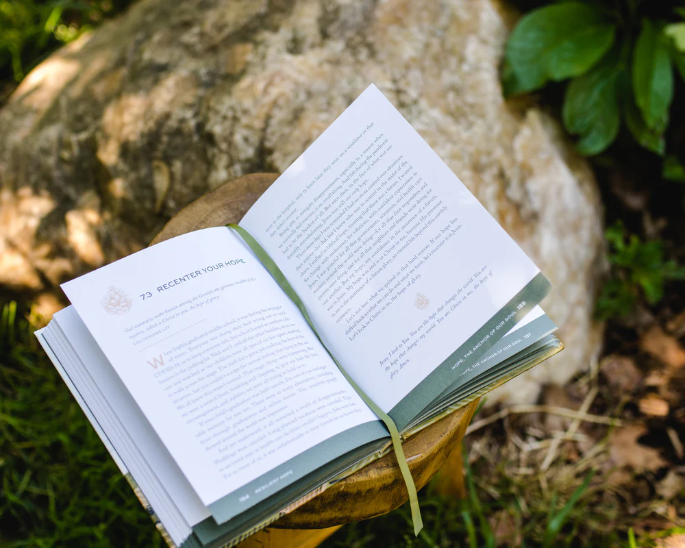 Resilient Hope: 100 Devotions for Building Endurance in an Unpredictable World - Image 11