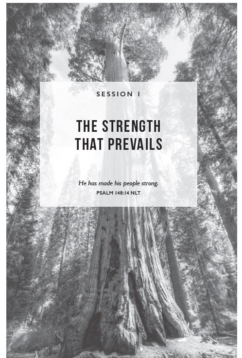 Resilient Bible Study Guide plus Streaming Video: Restoring Your Weary Soul in These Turbulent Times - Image 4
