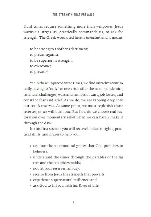 Resilient Bible Study Guide plus Streaming Video: Restoring Your Weary Soul in These Turbulent Times - Image 8