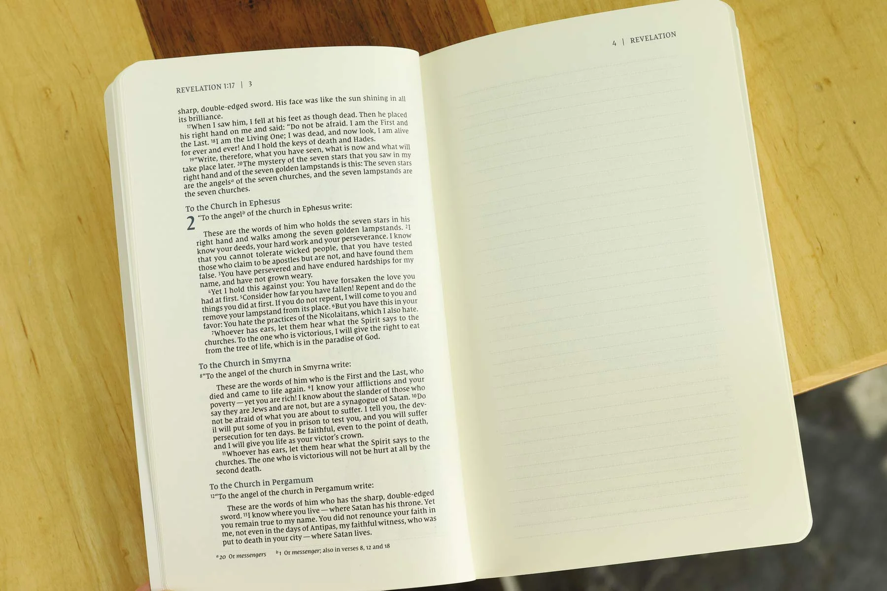 Revelation: Extravagant Hope Study Guide, Bible Journal, Bible Bundle (Premium Bundle) - Image 11