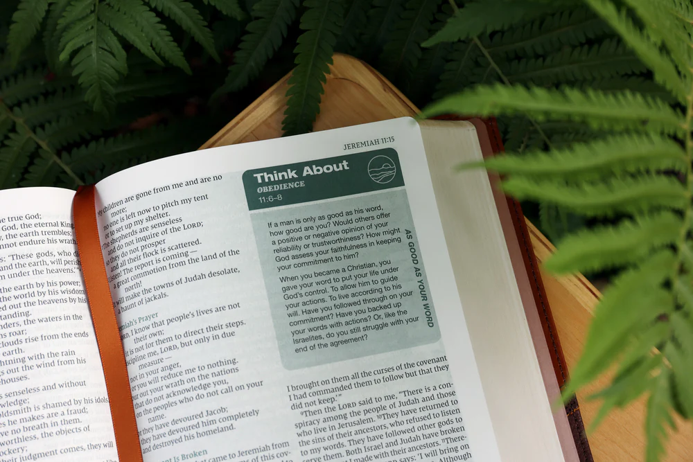 Rooted: The NIV Bible for Men, Comfort Print - Image 25