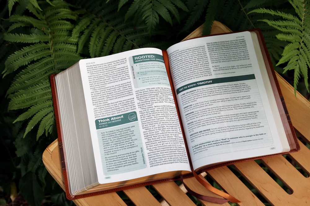 Rooted: The NIV Bible for Men, Comfort Print - Image 27