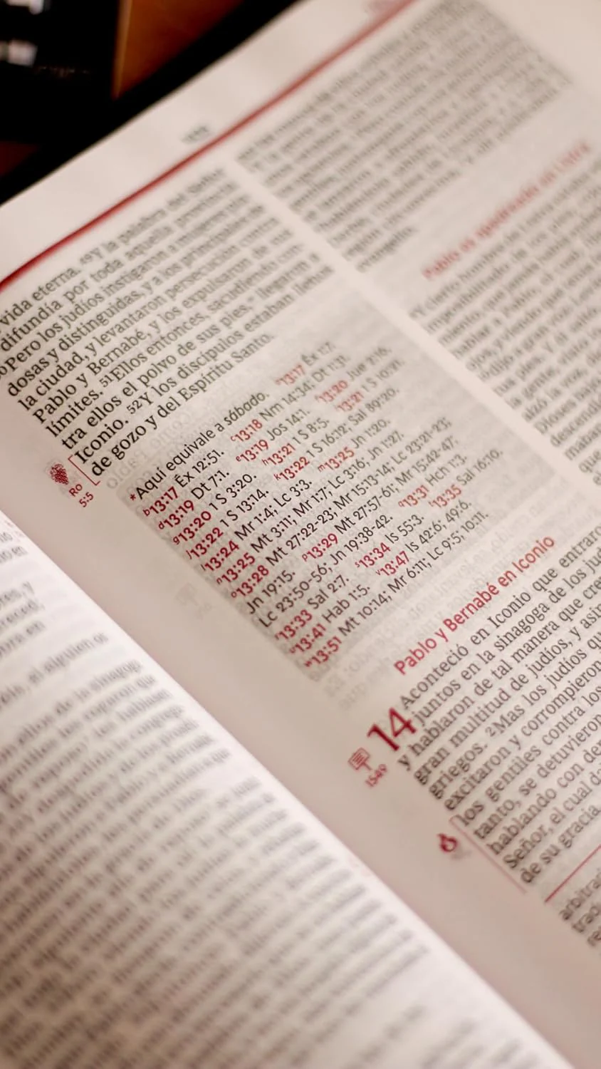 RVR60, Biblia de estudio de la vida plena, Edición clásica, Palabras de Jesús en rojo, Comfort Print / RVR60, Vida plena (Full Life) Study Bible, Classic Edition, Words of Jesus in Red, - Image 12