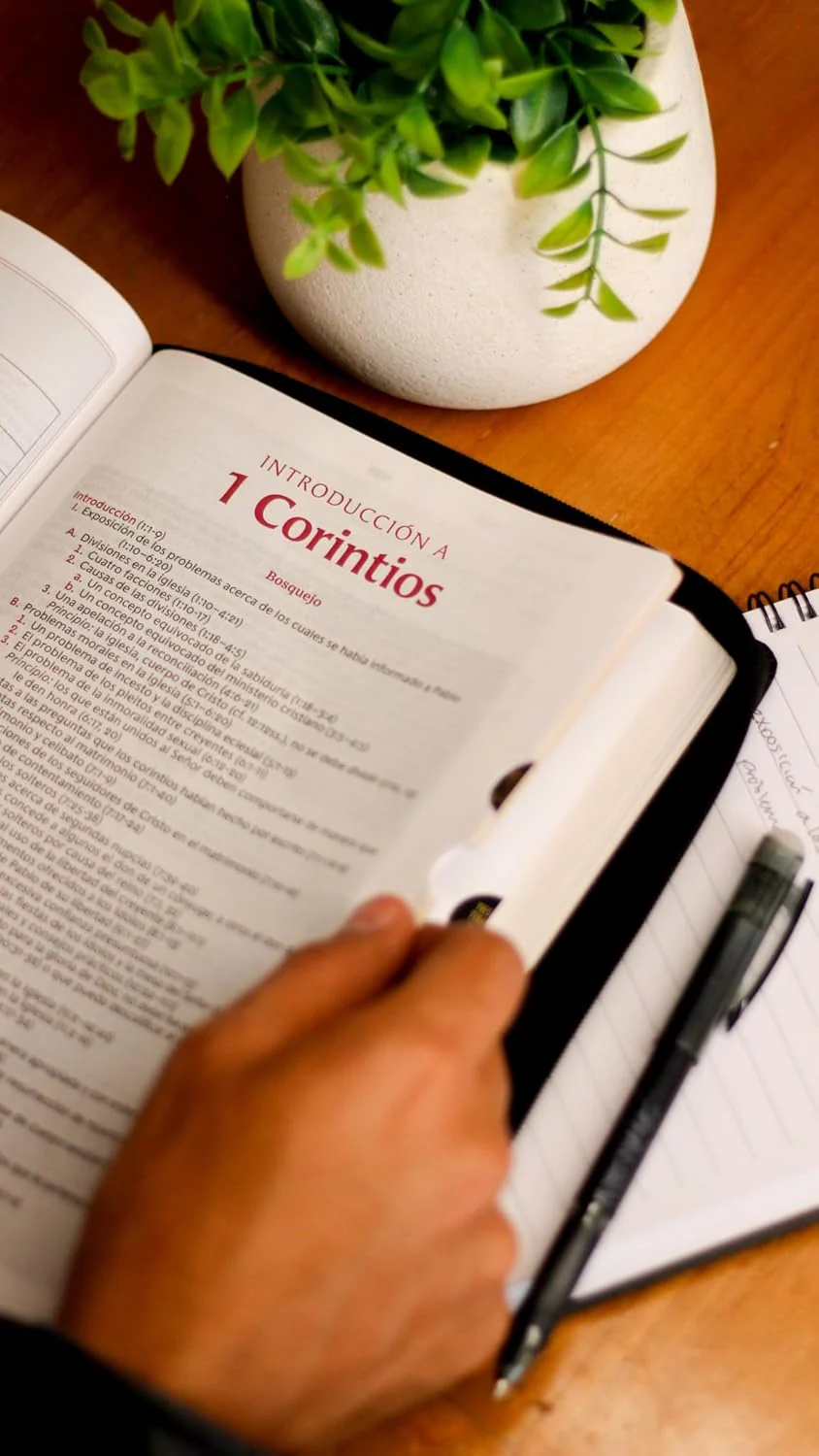 RVR60, Biblia de estudio de la vida plena, Edición clásica, Palabras de Jesús en rojo, Comfort Print / RVR60, Vida plena (Full Life) Study Bible, Classic Edition, Words of Jesus in Red, - Image 13