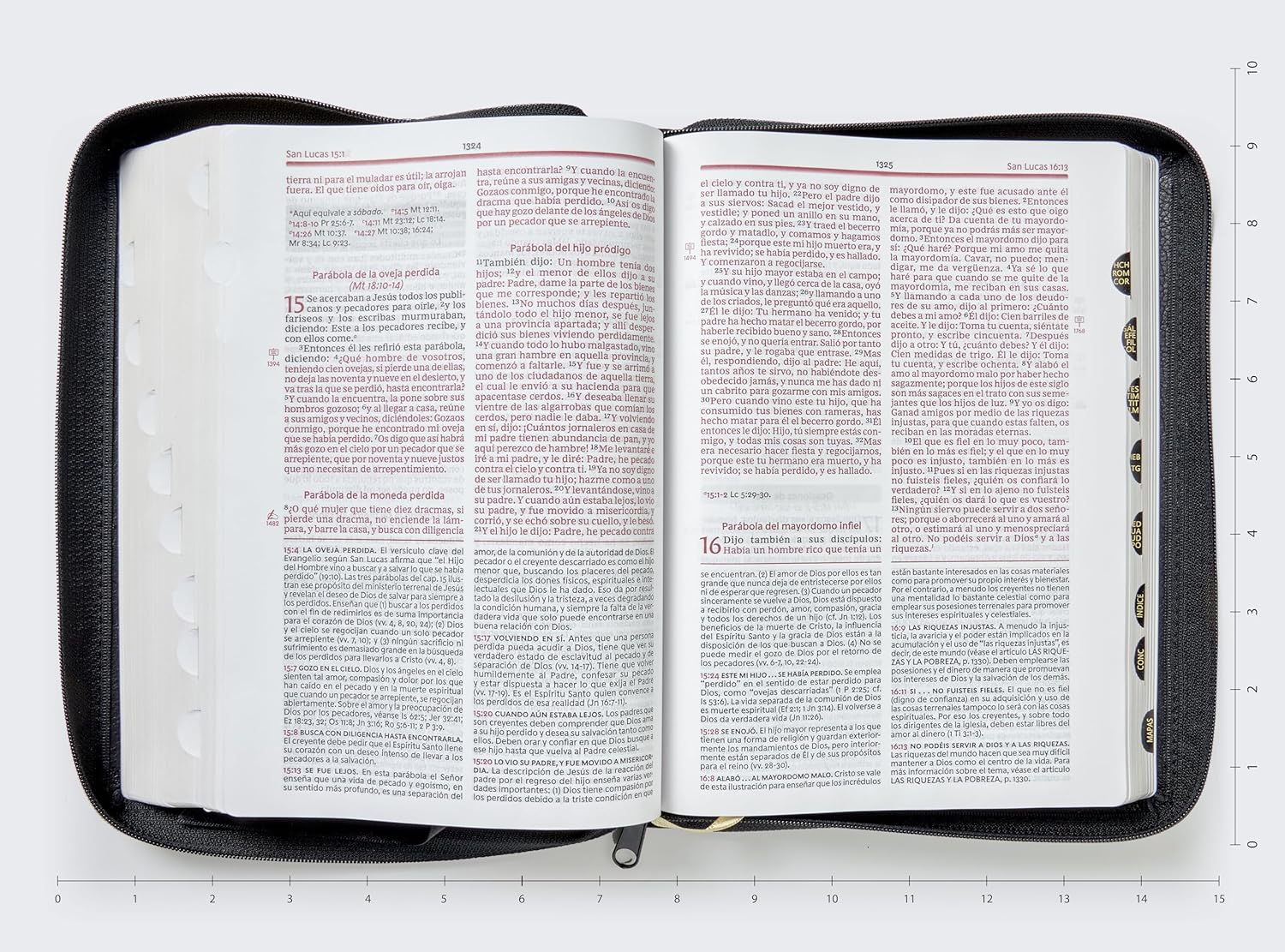 RVR60, Biblia de estudio de la vida plena, Edición clásica, Palabras de Jesús en rojo, Comfort Print / RVR60, Vida plena (Full Life) Study Bible, Classic Edition, Words of Jesus in Red, - Image 15