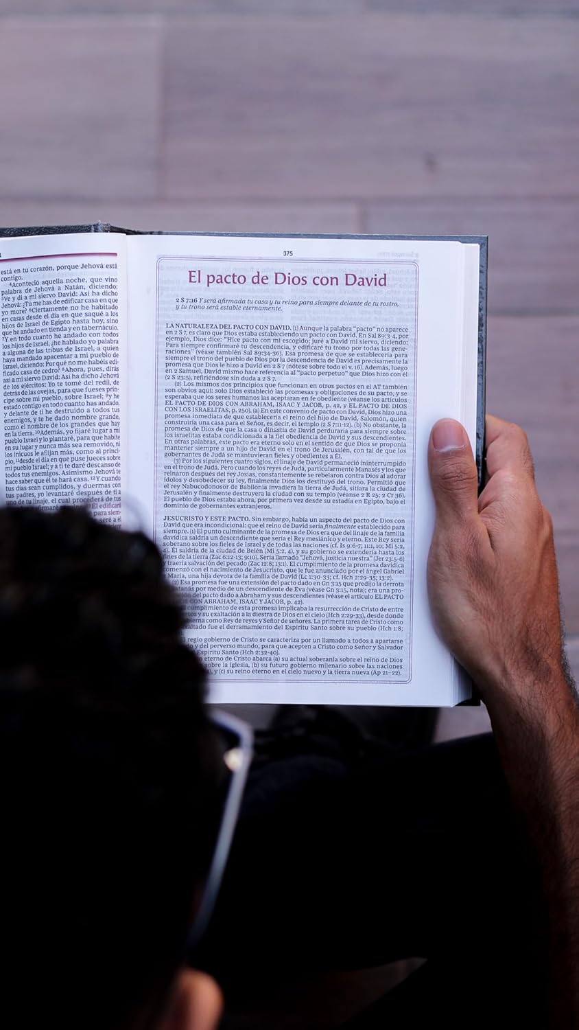 RVR60, Biblia de estudio de la vida plena, Edición clásica, Palabras de Jesús en rojo, Comfort Print / RVR60, Vida plena (Full Life) Study Bible, Classic Edition, Words of Jesus in Red, - Image 18
