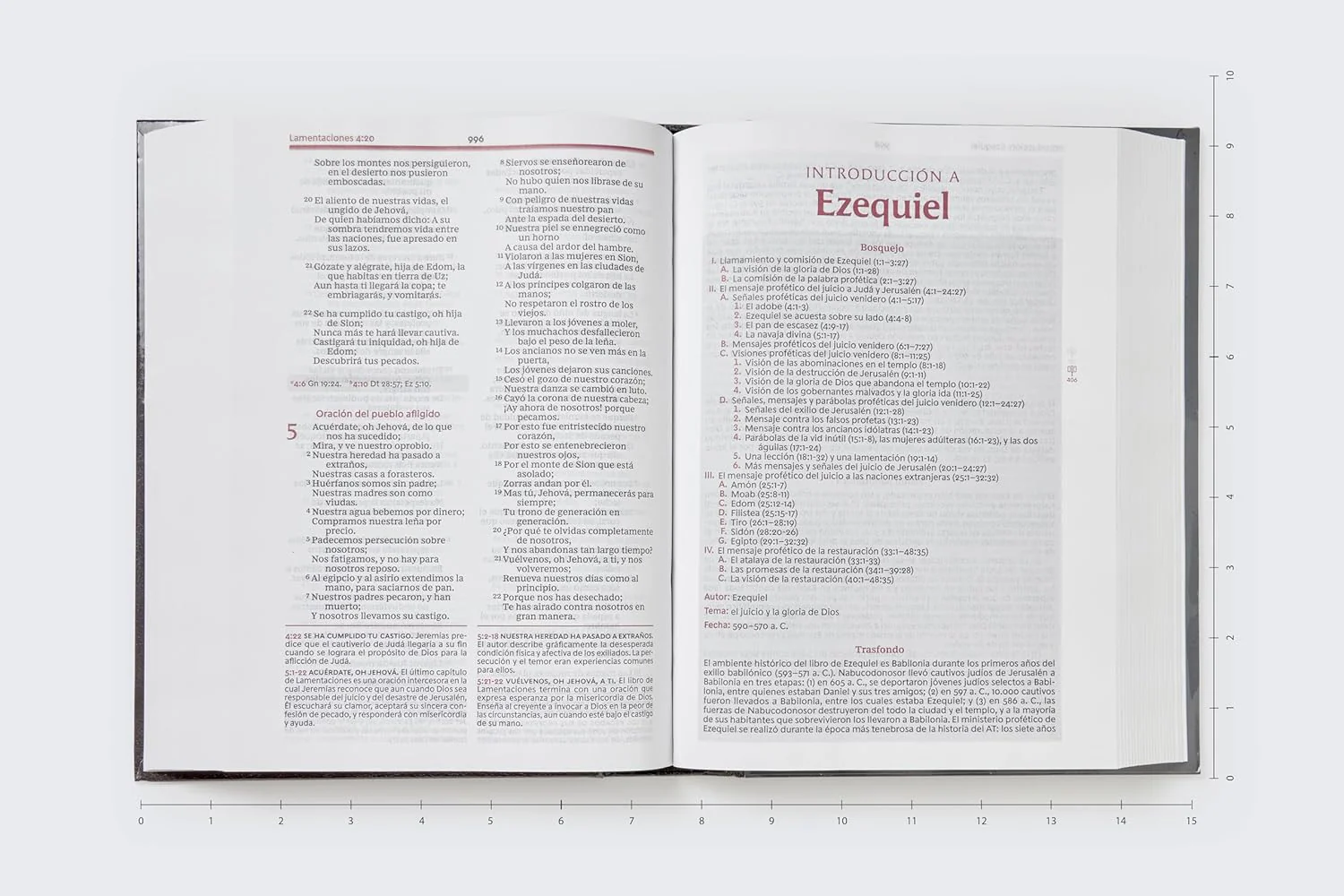 RVR60, Biblia de estudio de la vida plena, Edición clásica, Palabras de Jesús en rojo, Comfort Print / RVR60, Vida plena (Full Life) Study Bible, Classic Edition, Words of Jesus in Red, - Image 22
