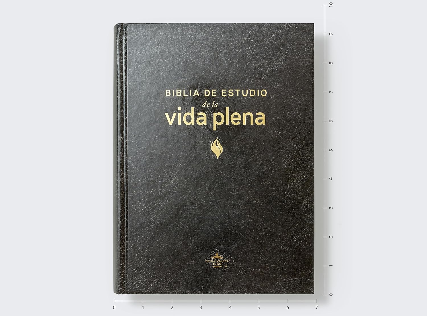 RVR60, Biblia de estudio de la vida plena, Edición clásica, Palabras de Jesús en rojo, Comfort Print / RVR60, Vida plena (Full Life) Study Bible, Classic Edition, Words of Jesus in Red, - Image 23