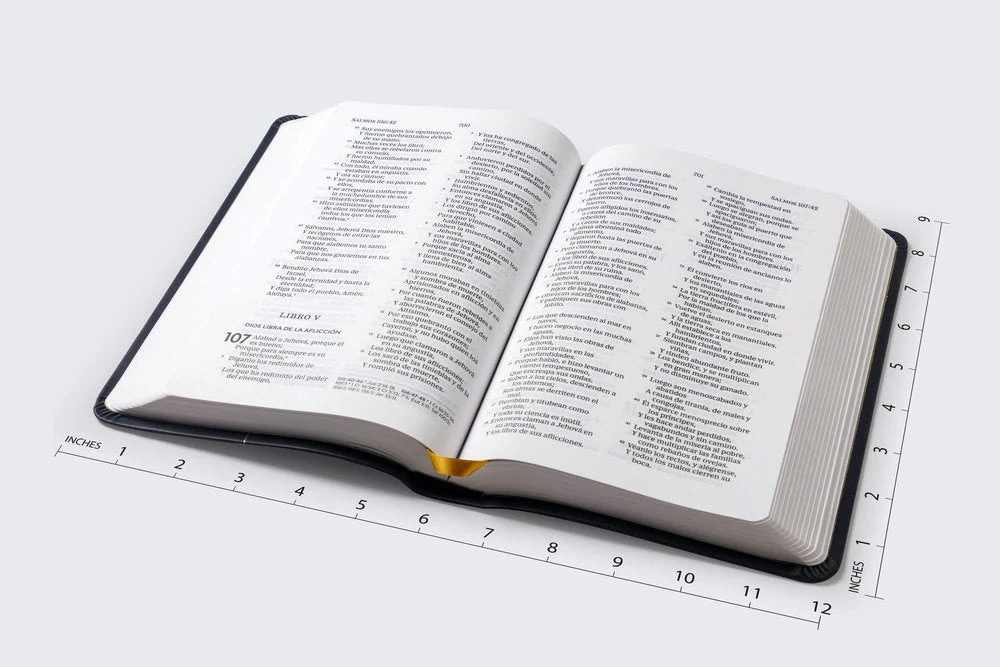RVR60, Santa Biblia, Premio y Regalo, Letra grande, Palabras de Jesús en Rojo, Comfort Print - Image 10
