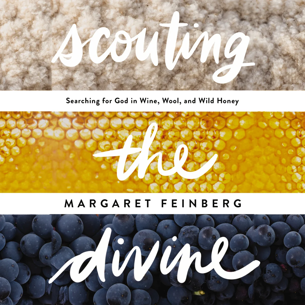 Scouting the Divine: Searching for God in Wine, Wool, and Wild Honey - Audiobook (Unabridged)