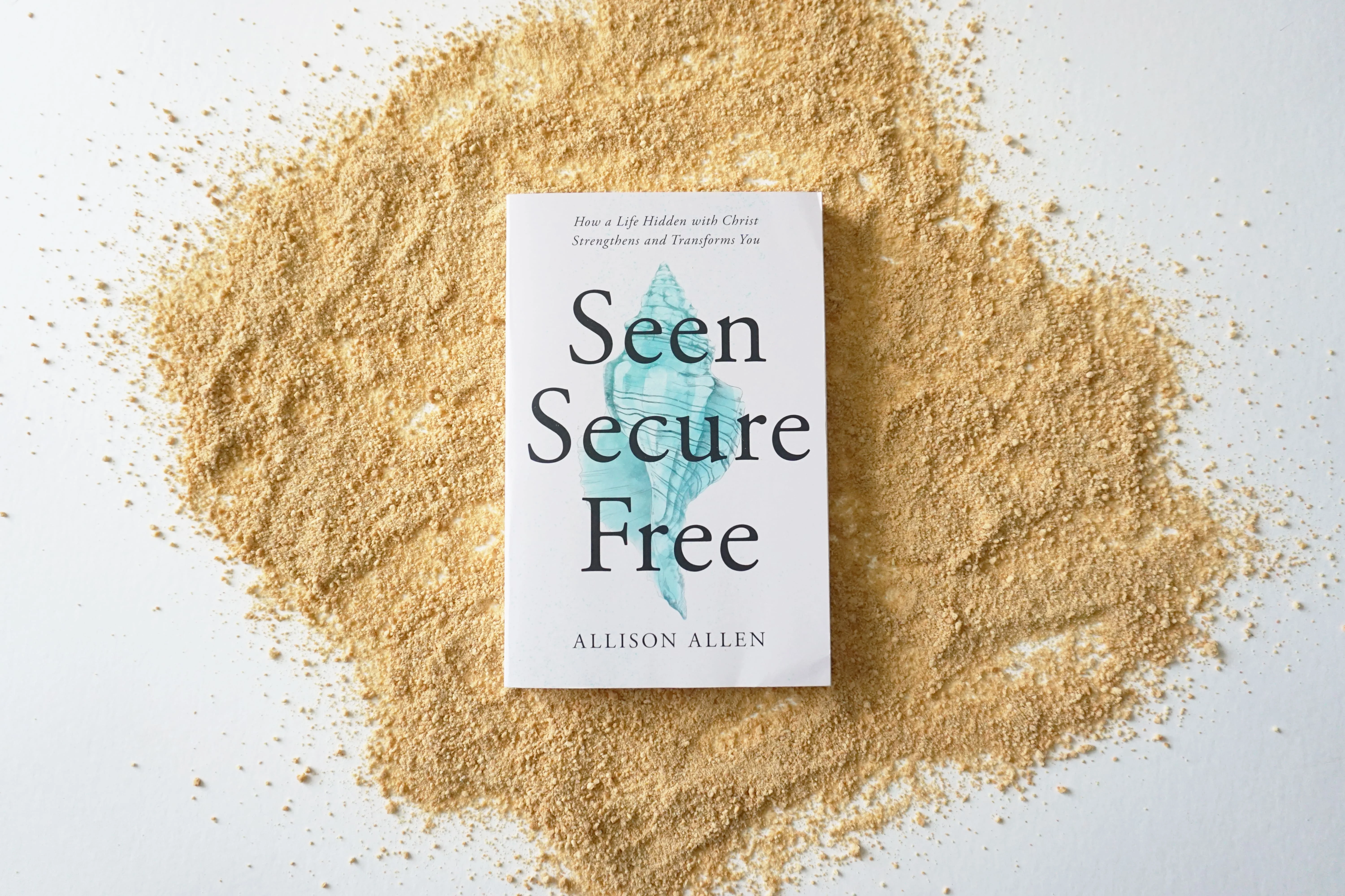 Seen, Secure, Free: How a Life Hidden with Christ Strengthens and Transforms You - Image 5