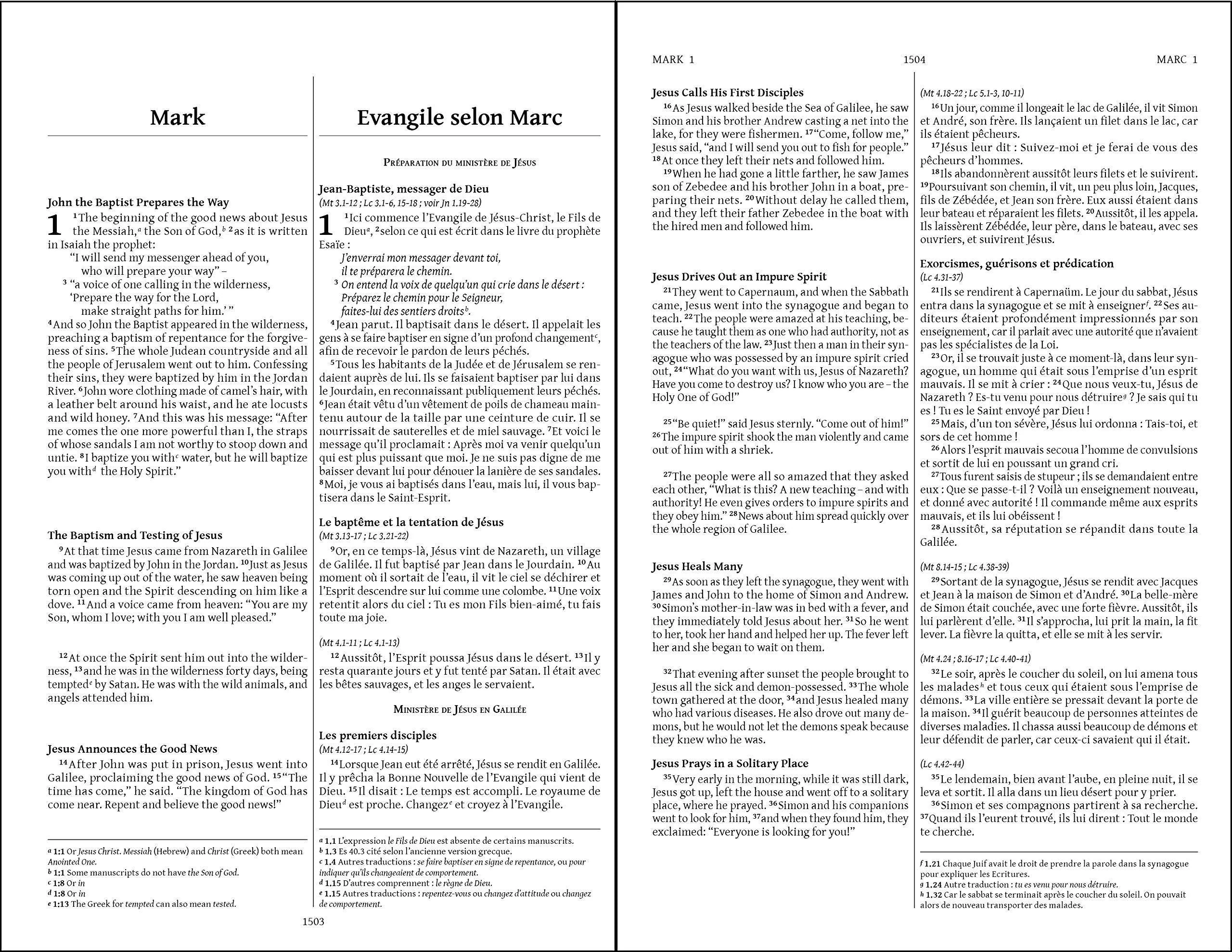 Semeur, NIV, French/English Bilingual Bible - Image 4
