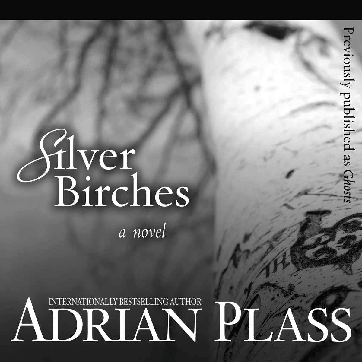 Silver Birches: A Novel - Audiobook (Unabridged)
