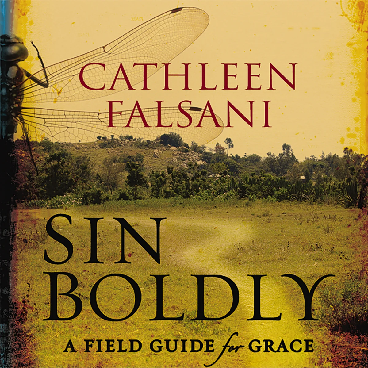 Sin Boldly: A Field Guide for Grace - Audiobook (Unabridged)