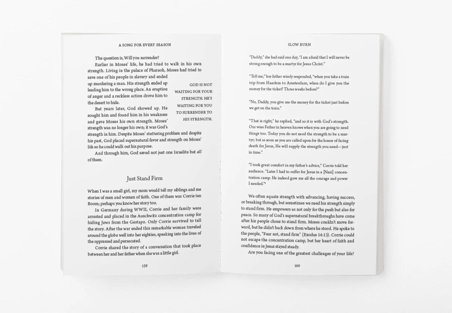 Slow Burn: The Work and Wonder of the Wait - Image 5