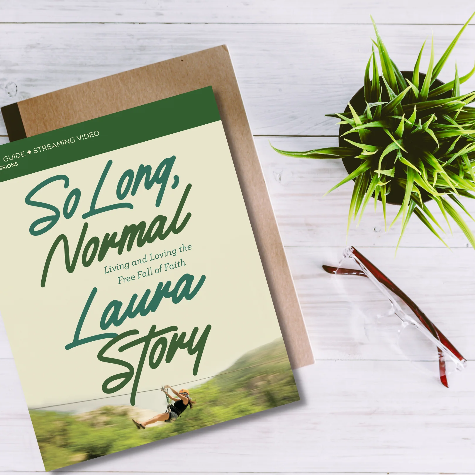 So Long, Normal Bible Study Guide plus Streaming Video: Living and Loving the Free Fall of Faith - Image 6