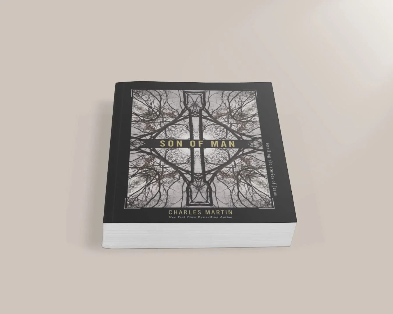 Son of Man: Retelling the Stories of Jesus - Image 4