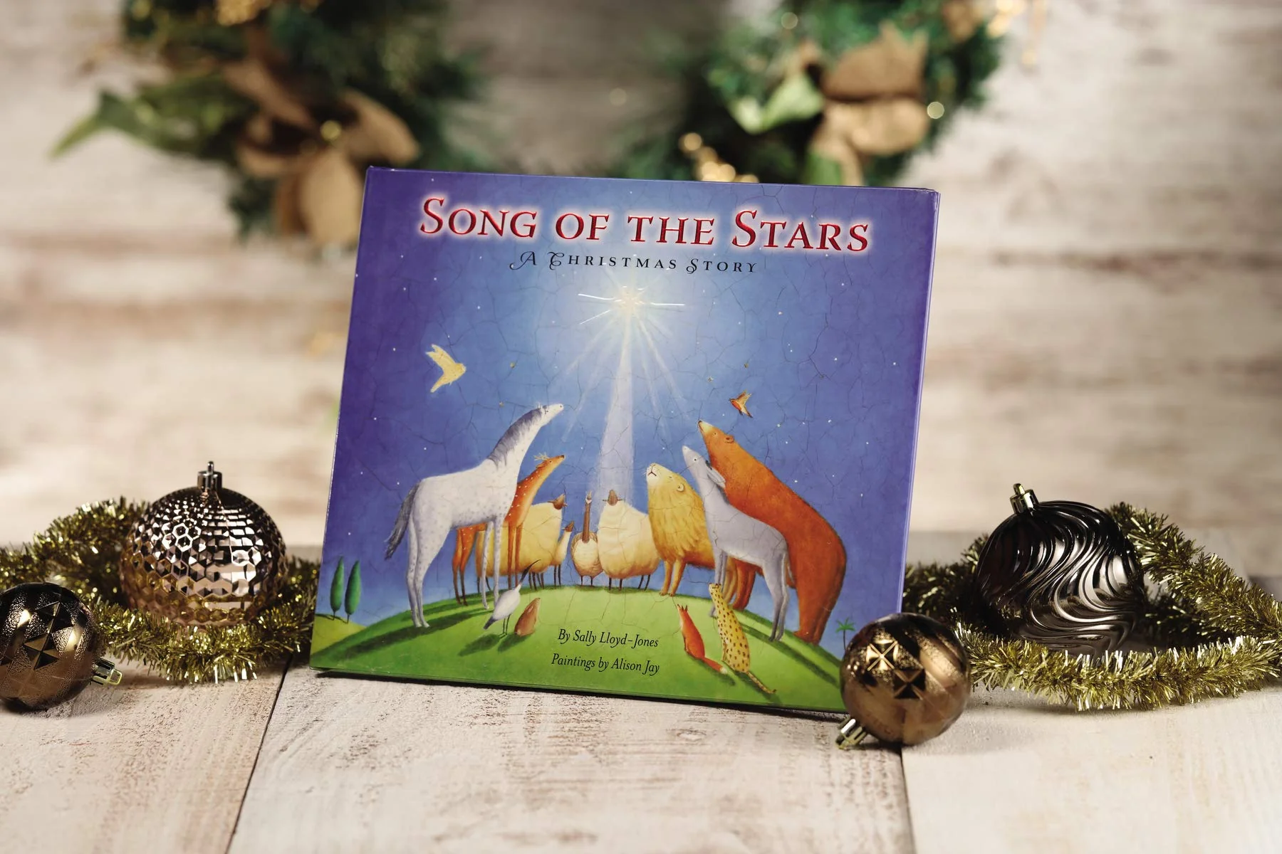 Song of the Stars: A Christmas Story - Image 4