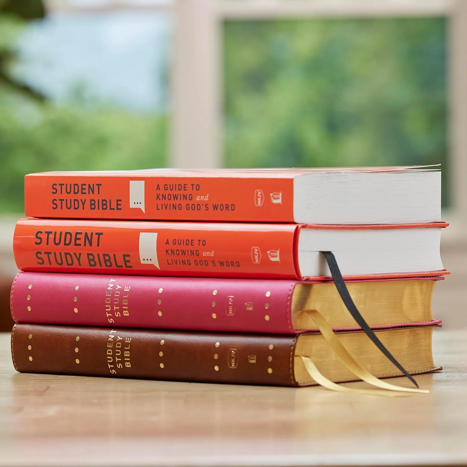 Student Study Bible: A Guide to Knowing and Living God’s Word (NKJV, Red Letter, Comfort Print) - Image 22
