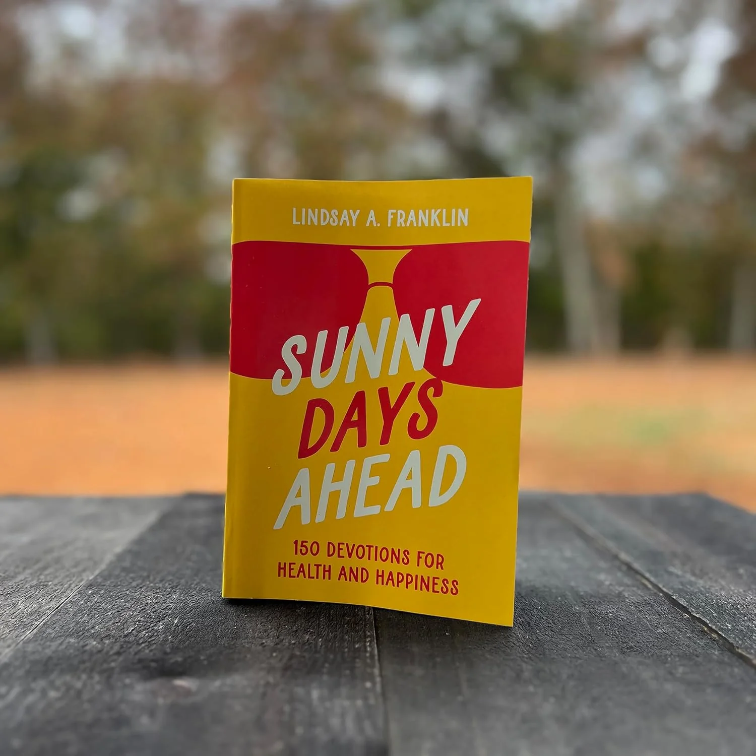 Sunny Days Ahead: 150 Devotions for Health and Happiness - Image 4