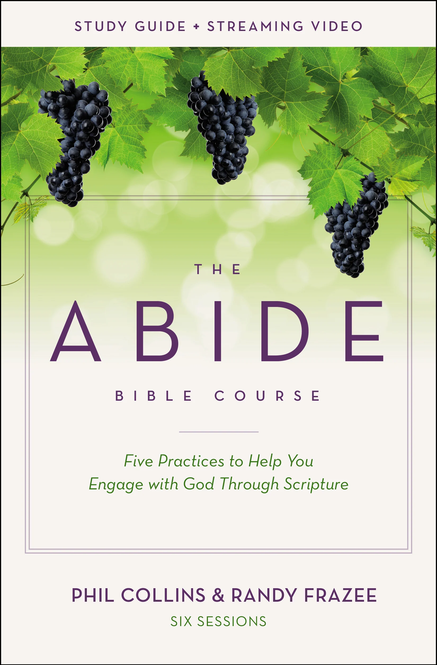 The Abide Bible Course Study Guide plus Streaming Video: Five Practices to Help You Engage with God Through Scripture - Image 2
